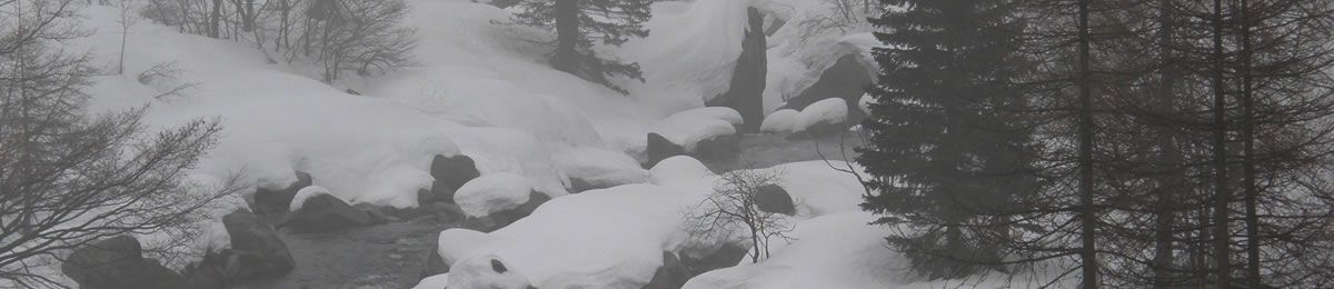 L'inverno nel parco delle Alpi Marittime